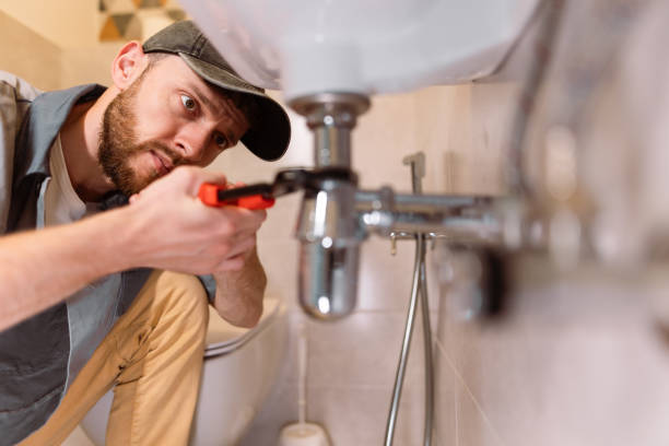 Best Plumbing Services Near Me  in Alderson, WV