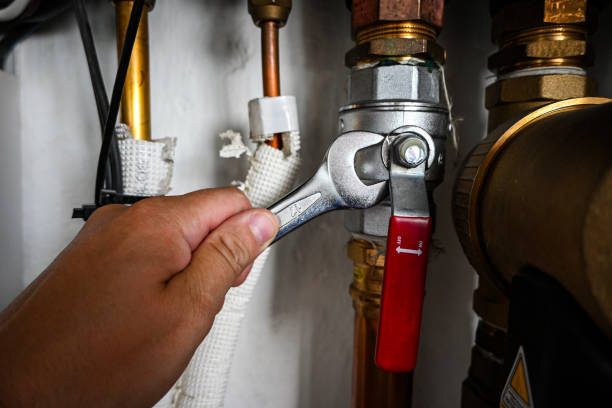 Best Leak Detection Services  in Alderson, WV